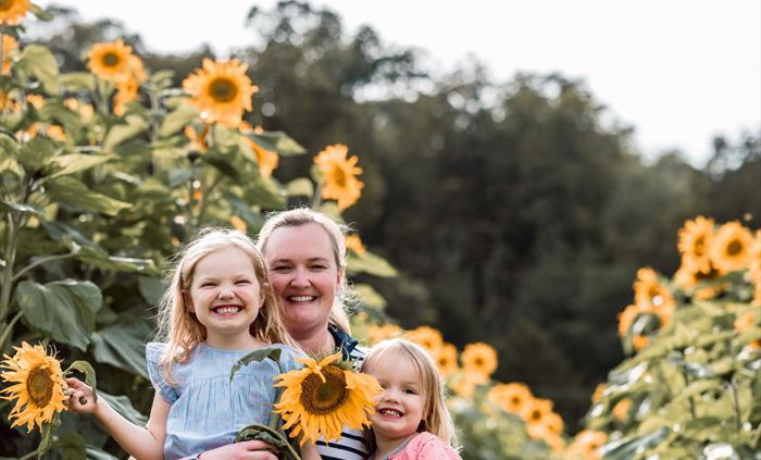 Forage_Family_Sunflowers